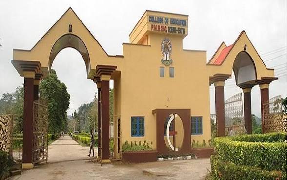 Ekiti University Celebration Turns Deadly as Stampede Claims Three Lives